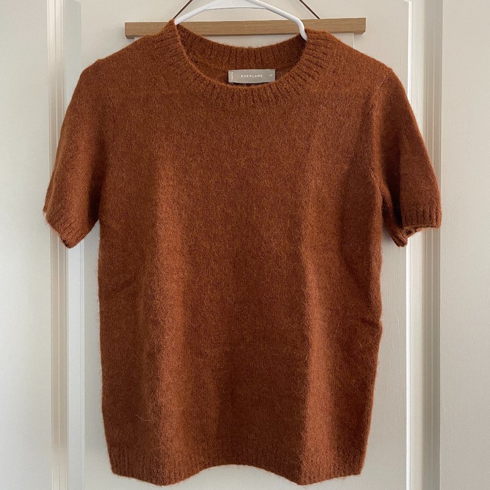 Everlane Alpaca Sweater Tee XS